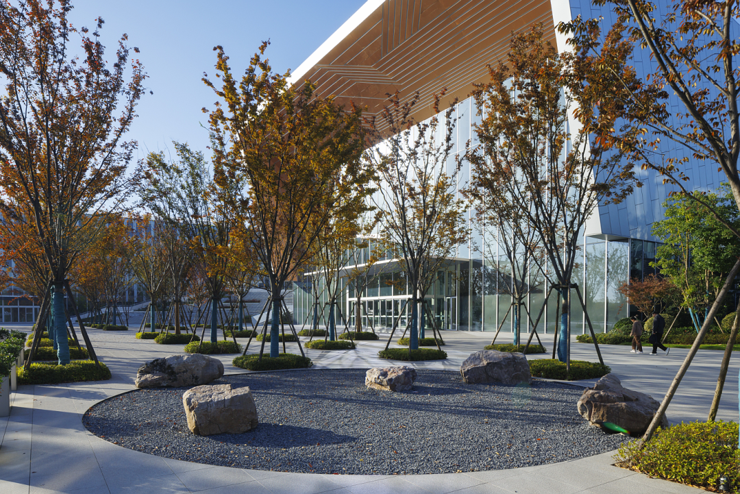 阿里巴巴南湖未来科学园丨中国杭州丨阿普贝思UP+S-86