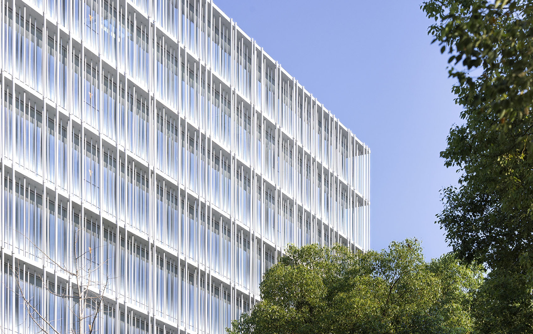 宁波慕尚集团总部大楼丨中国宁波丨上海秉仁建筑师事务所(普通合伙)-50