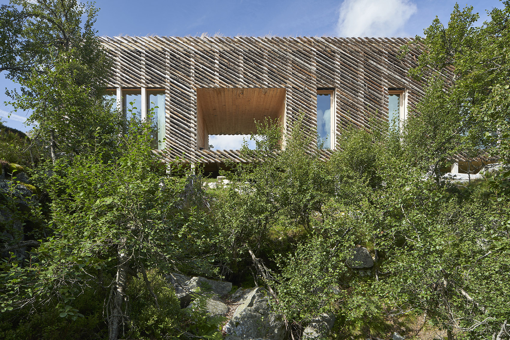 挪威Skigard住宅-33