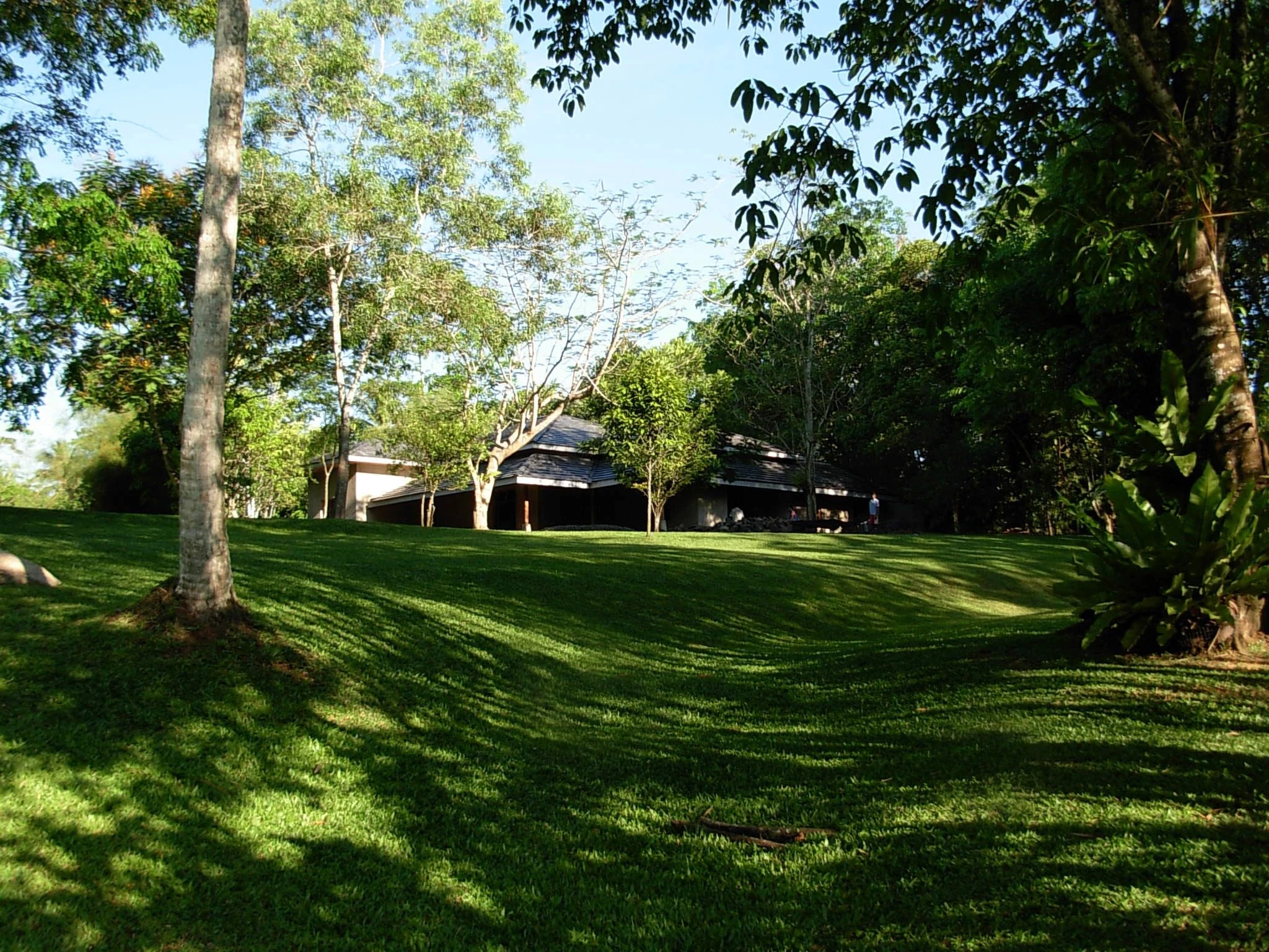 斯里兰卡“荆棘”庄园-26