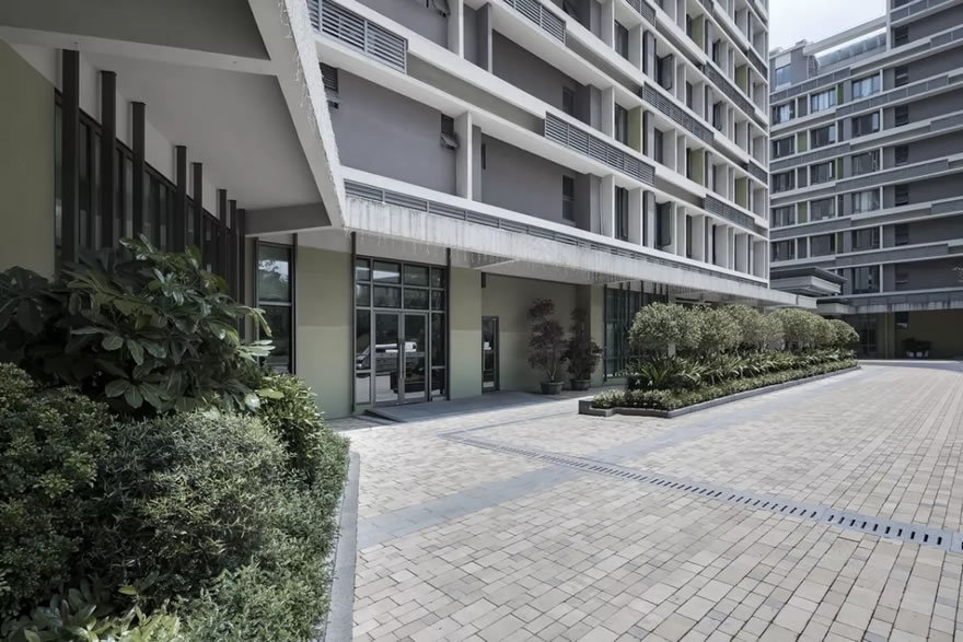 香港中文大学(深圳)思廷学院丨中国深圳-31