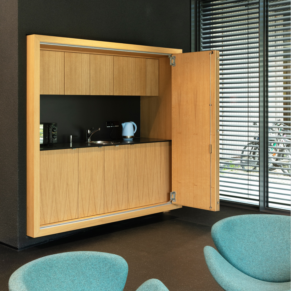 黑 façade 的集成感染疾病研究中心(CIID)-22