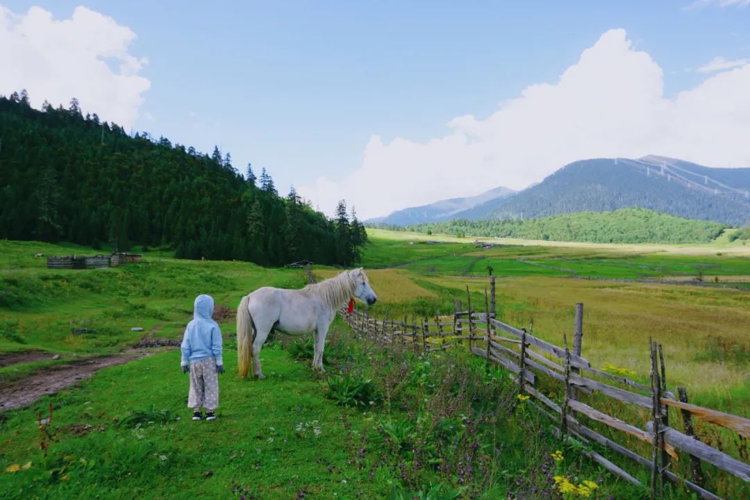 嬿·羽丨中国泉州丨超睿里子设计工作室-9