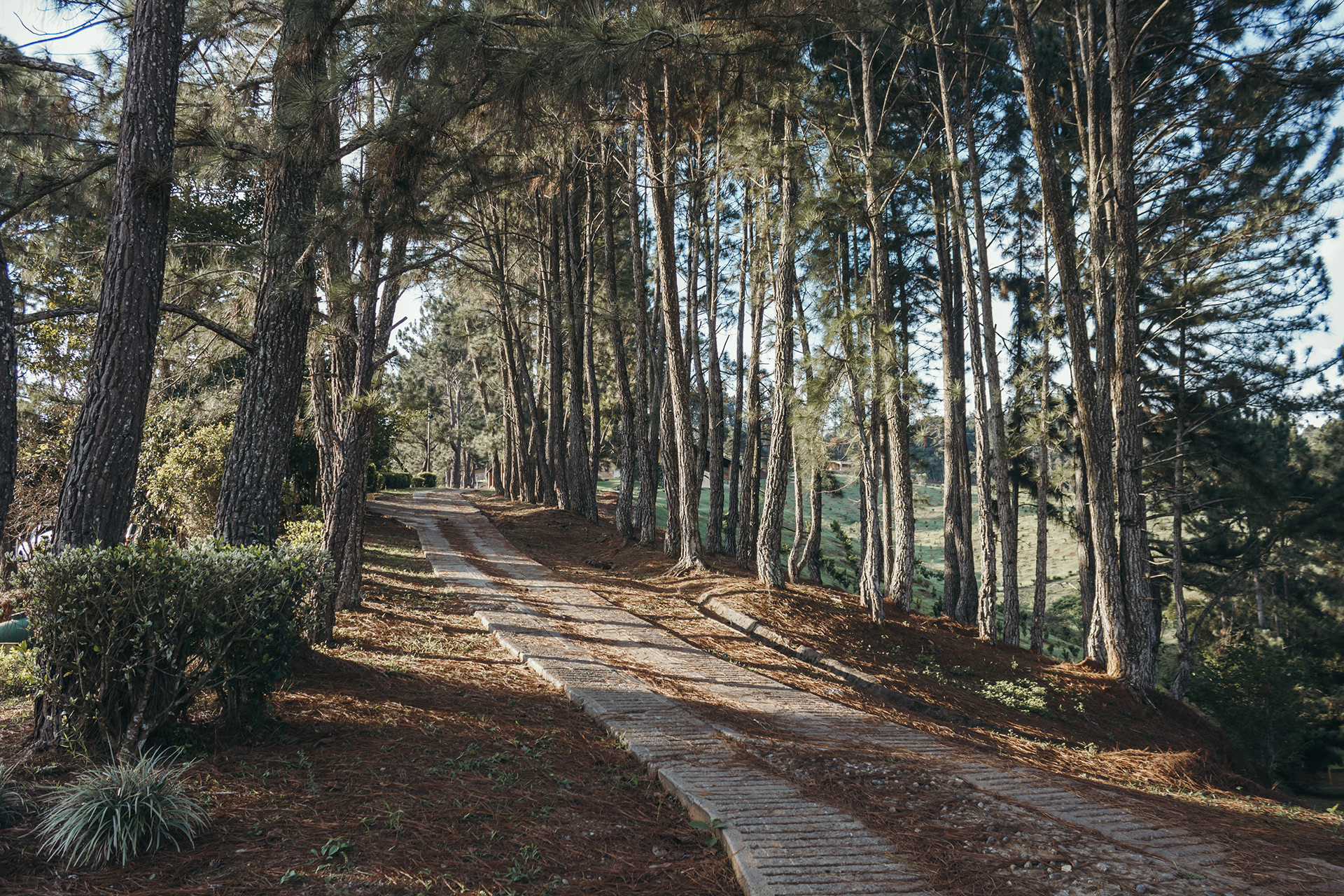CMG 营地测绘丨委内瑞拉-12