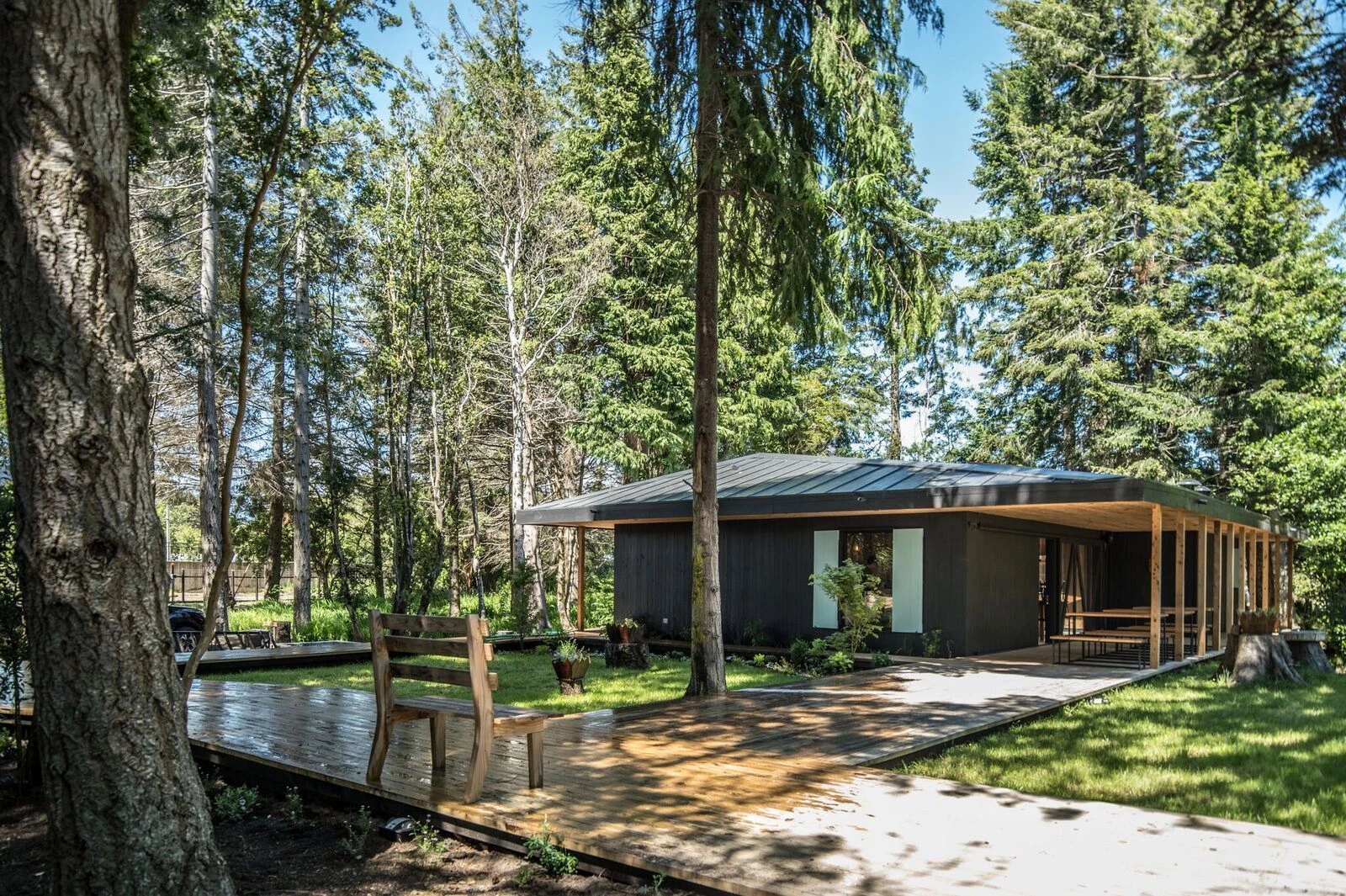 智利湖畔森林中的舒适用餐空间-12