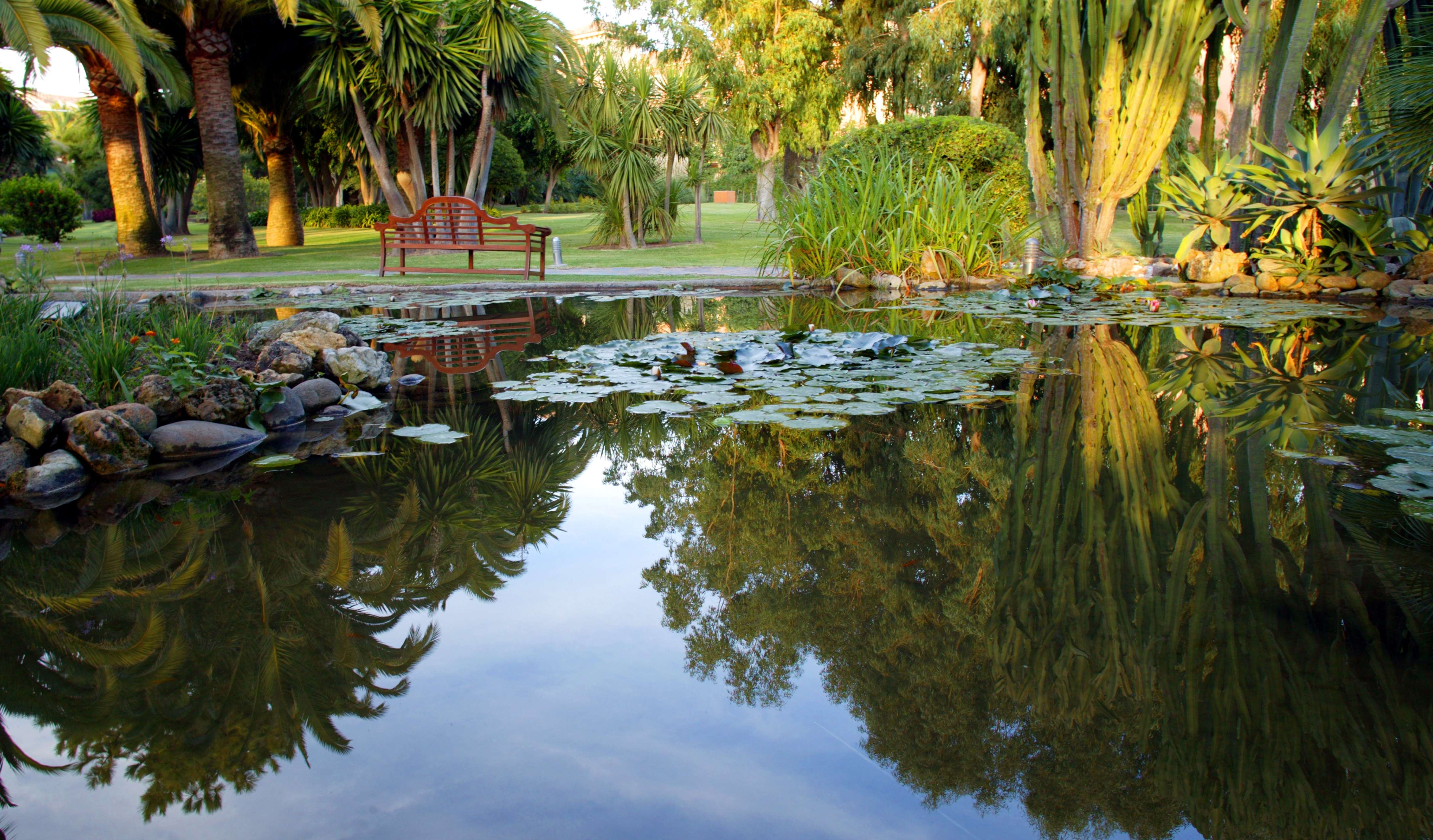 Hotel Don Carlos Leisure Resort＆Spa（西班牙，马贝拉）W-6