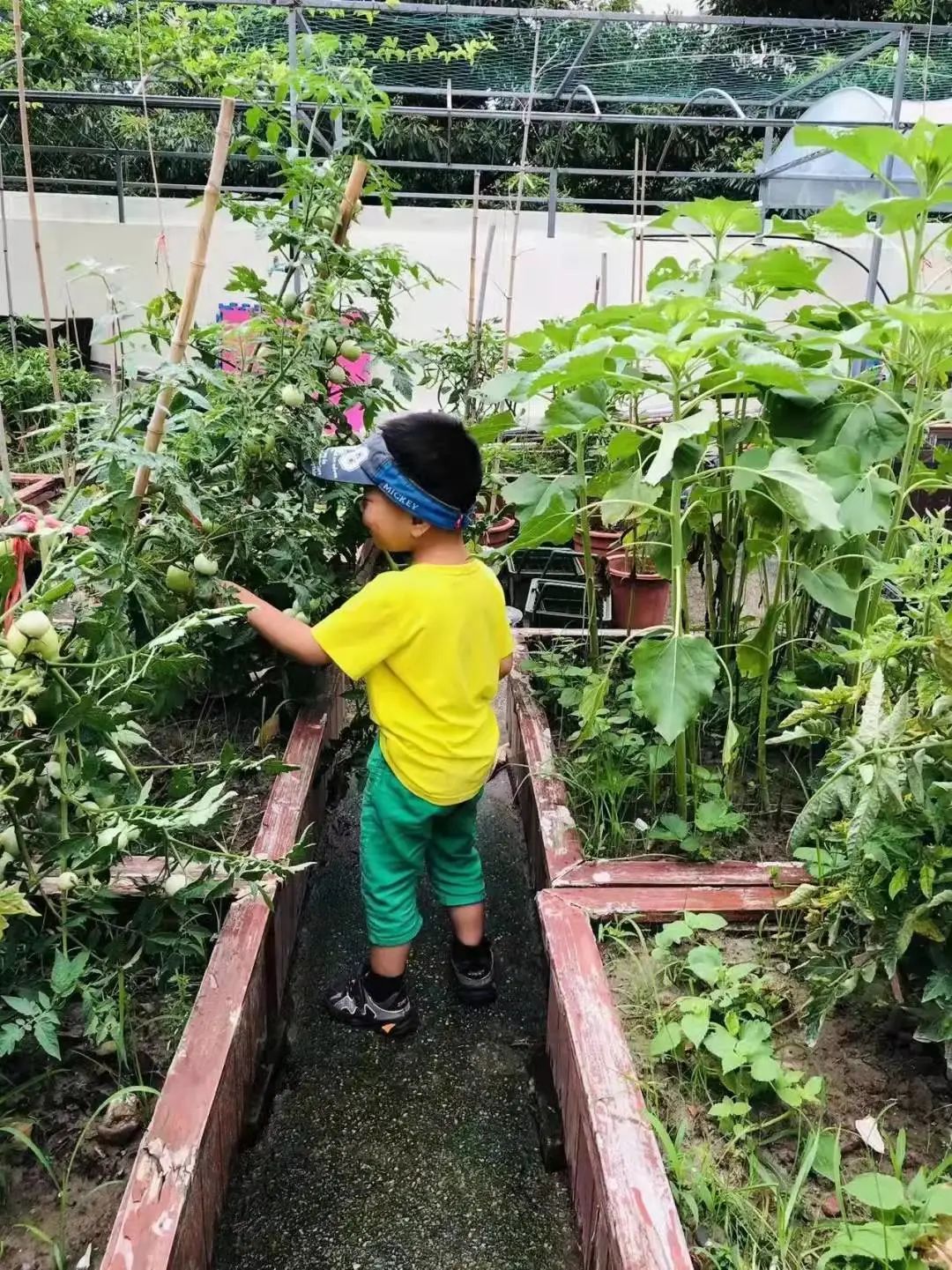 极简风,烟火气的误解与正名丨中国北京-43