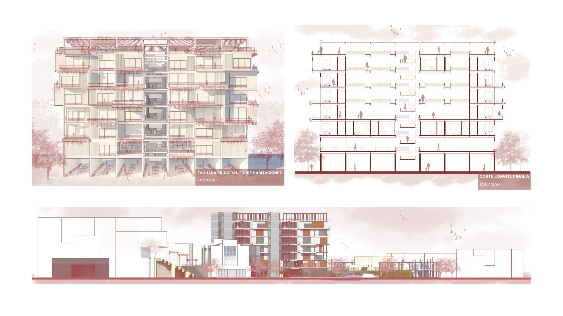 Portafolio 2022-2024-13