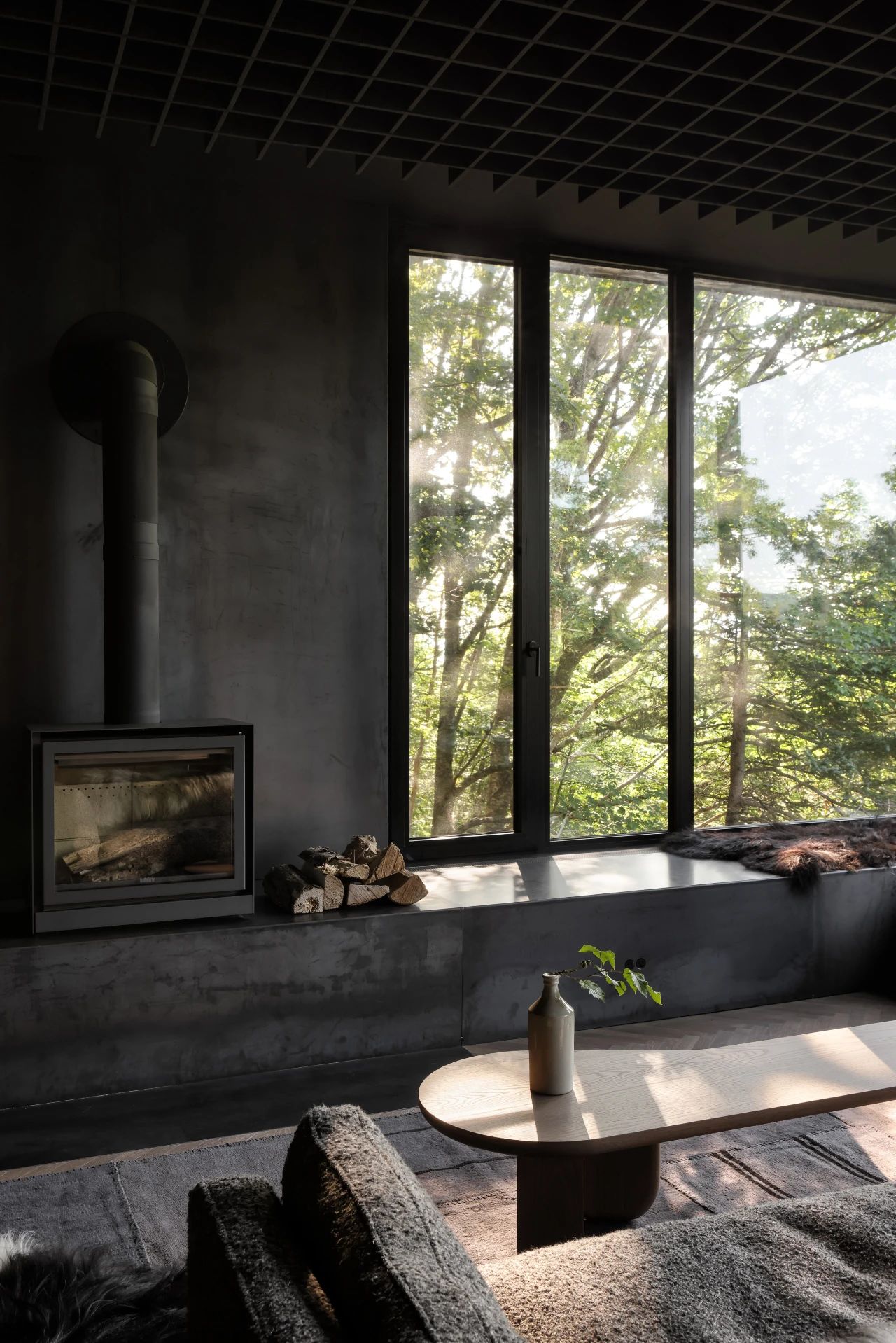 升高的座舱丨加拿大丨Omar Gandhi Architects-16