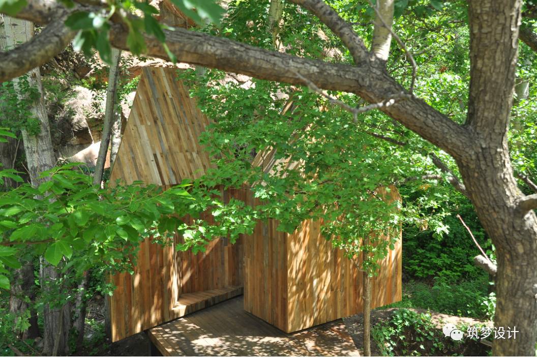 听闻 |这个春天到北京看树屋-33