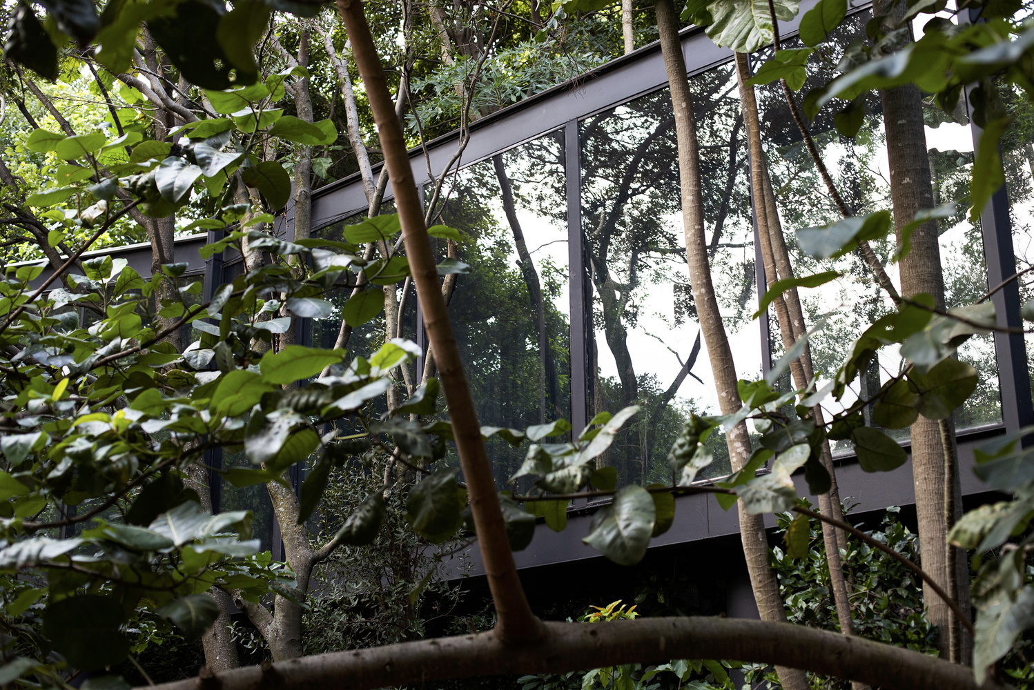 南非树屋丨南非比勒陀利亚丨Drawbox Design Studio Architects-30