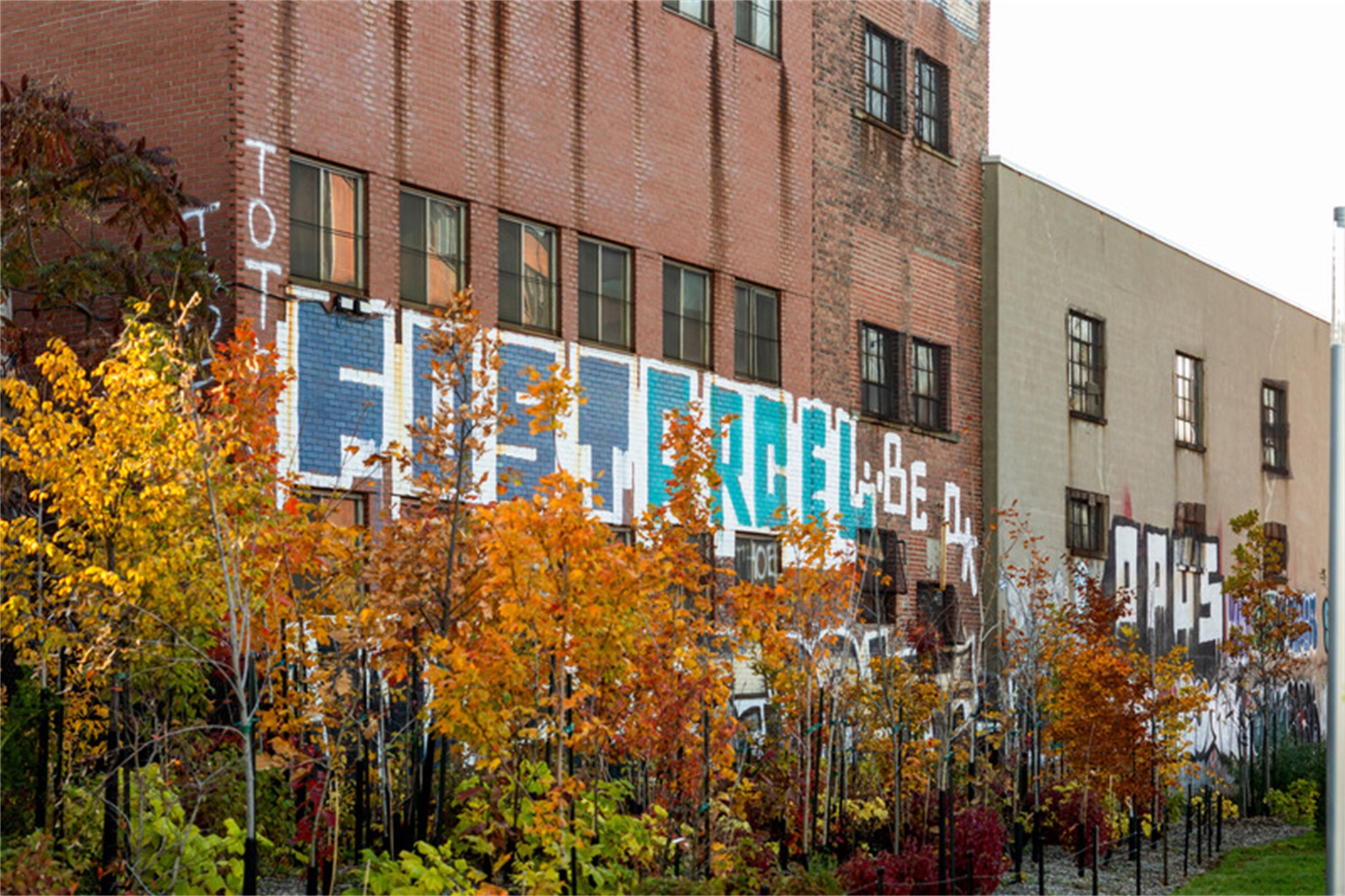 大猩猩公园丨加拿大蒙特利尔丨civiliti-19