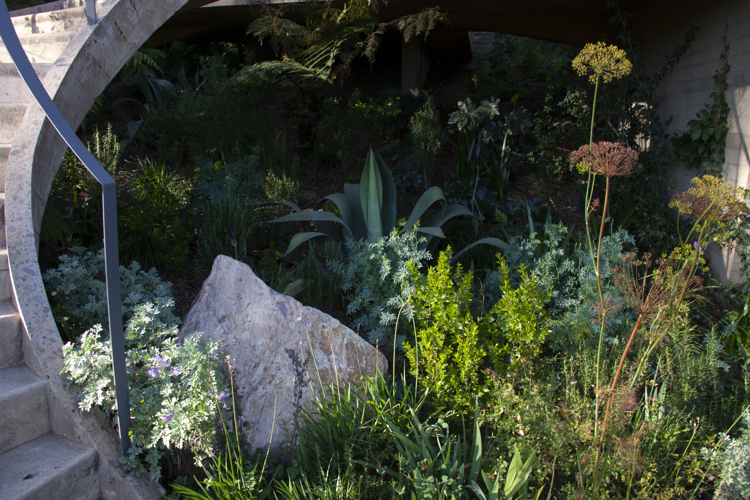 墨西哥森林花园-20