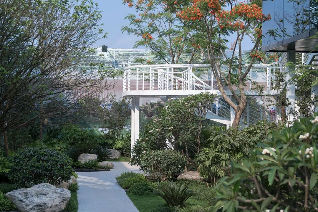 中南南宁紫云集-96