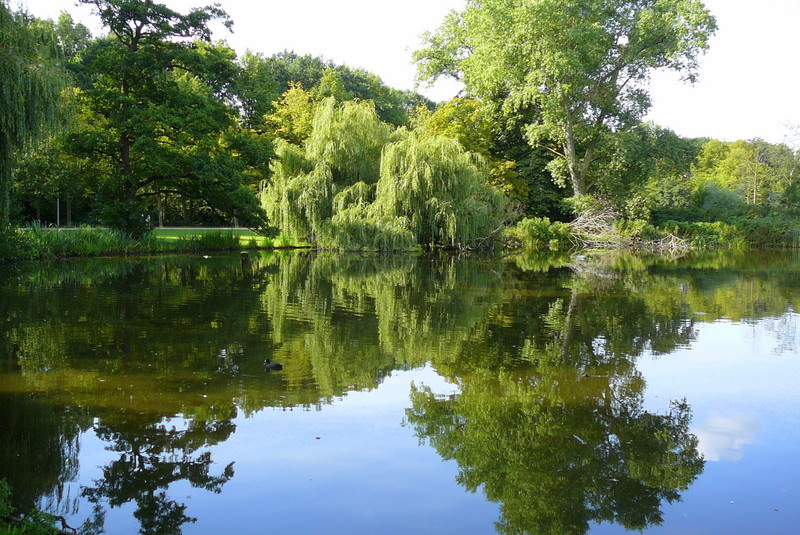 阿姆斯特丹冯德尔公园主入口改造丨荷兰阿姆斯特丹-13