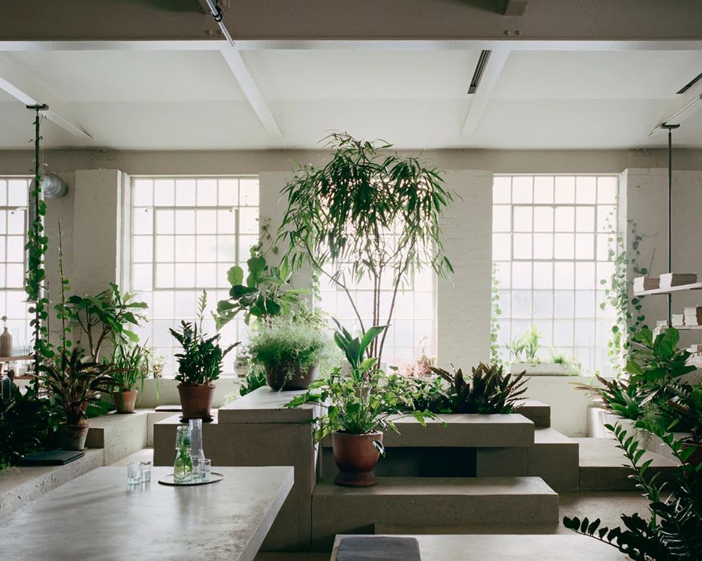 混凝土之舞 · PSLab 伦敦总部展示兼办公设计-12