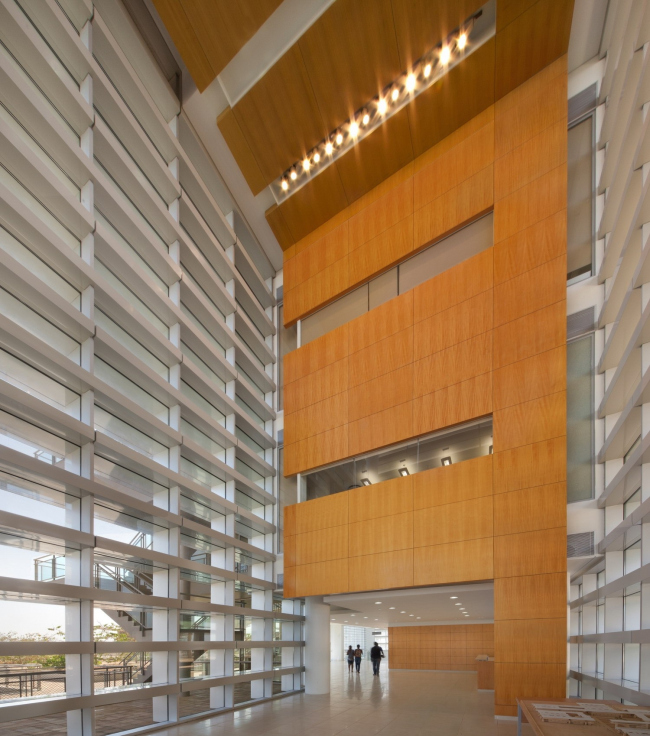 阿戈斯蒂纽·内图大学校园建设项目丨安哥拉罗安达丨Perkins+Will-55