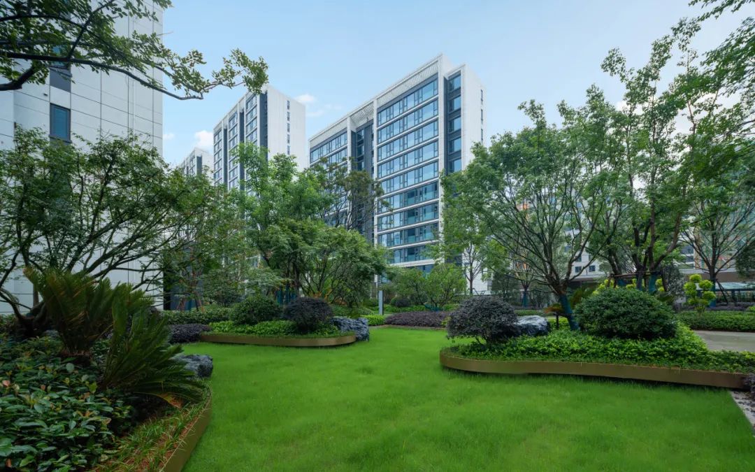 美好交付 | 金华君启，礼序生活之境，融汇自然诗意-25