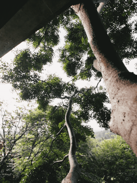 云南安宁田野红砖房丨中国云南丨杨雄-44