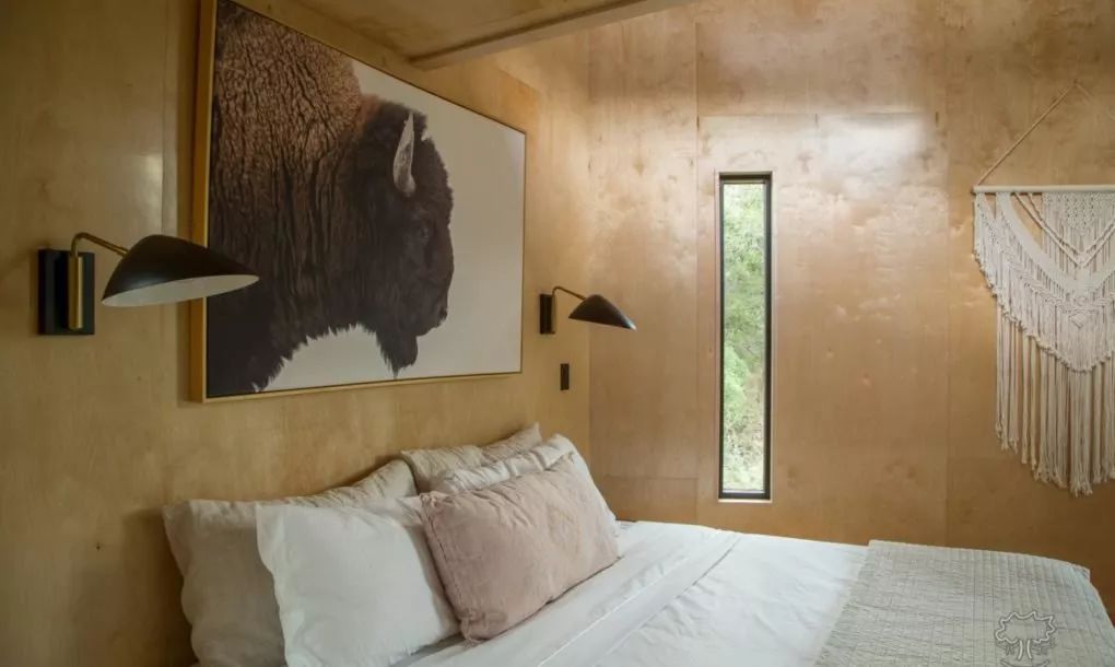 德克萨斯州横溪树屋 | 自然与艺术的完美融合-11