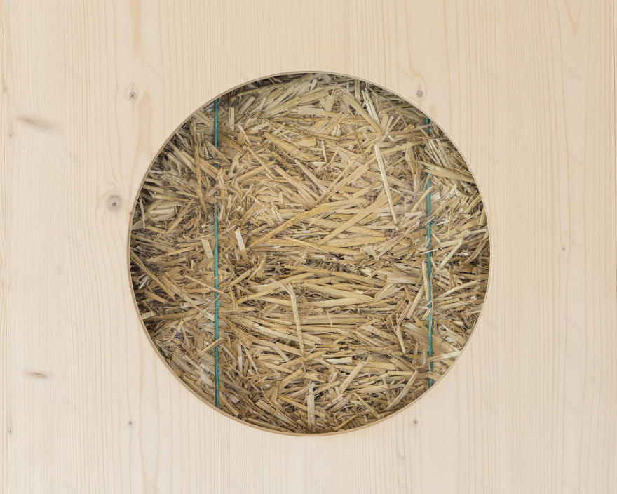 戴伦斯体育设施丨瑞士丨LOCALARCHITECTURE-37