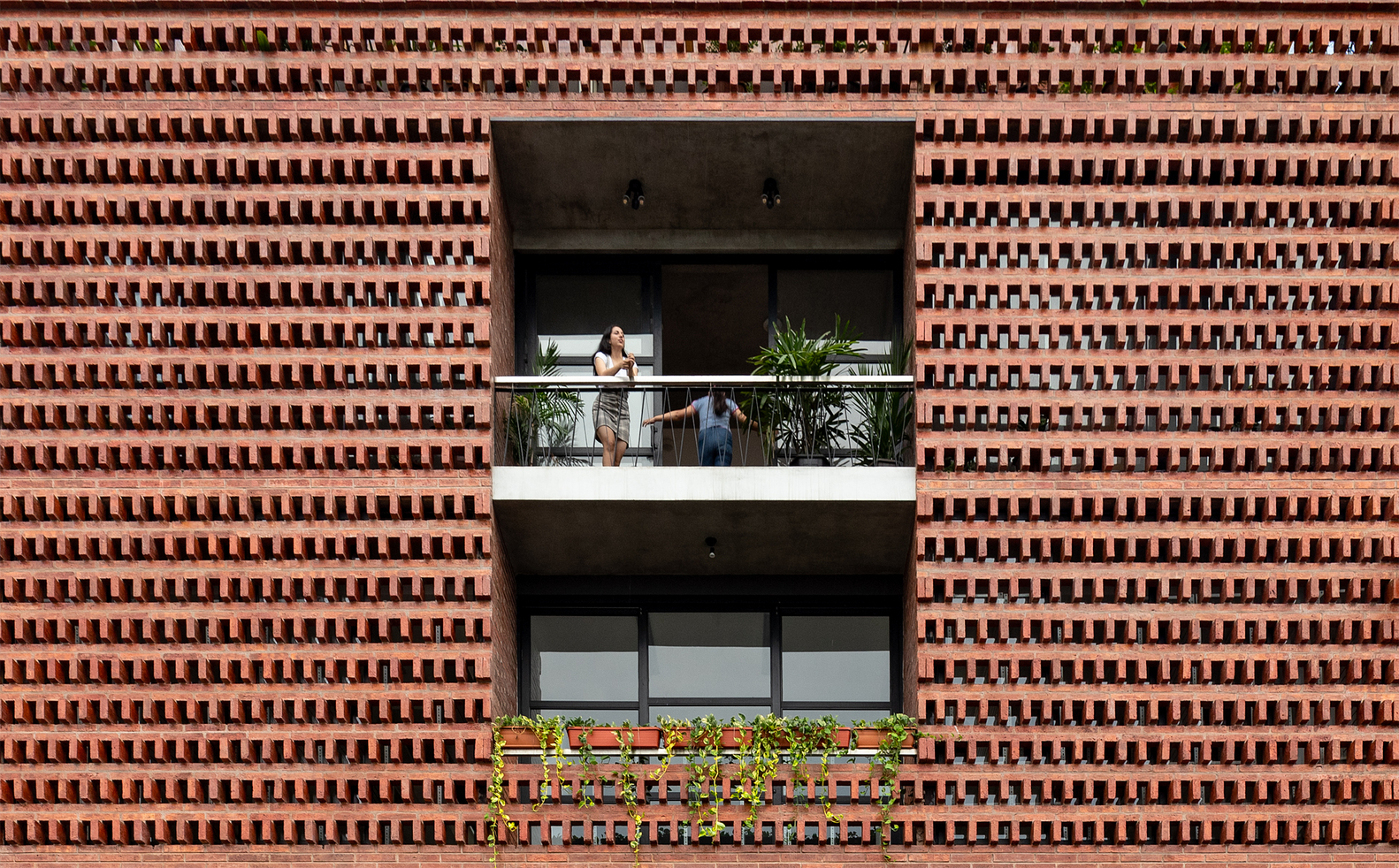 厄瓜多尔提供者生产中心-10