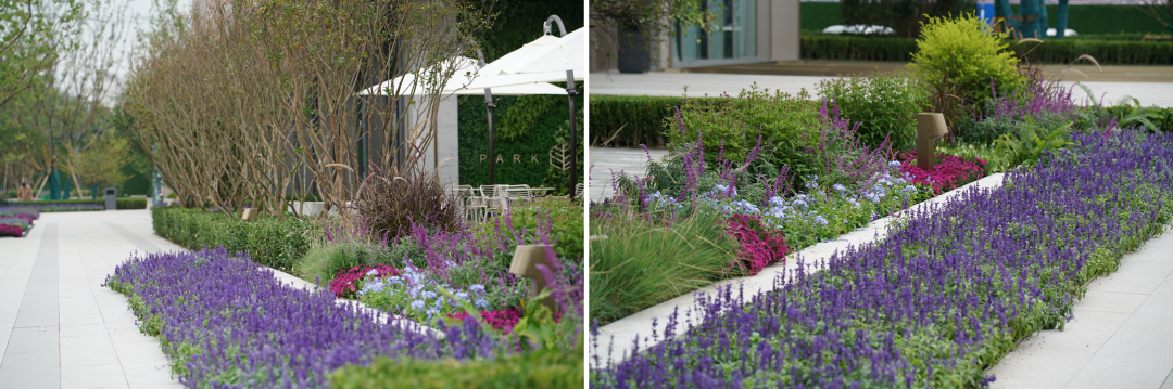 微木花境设计丨微木花境工作室-43