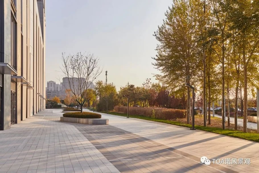 太原万科公园大道丨中国太原丨TOA 诺风景观设计咨询有限公司-44