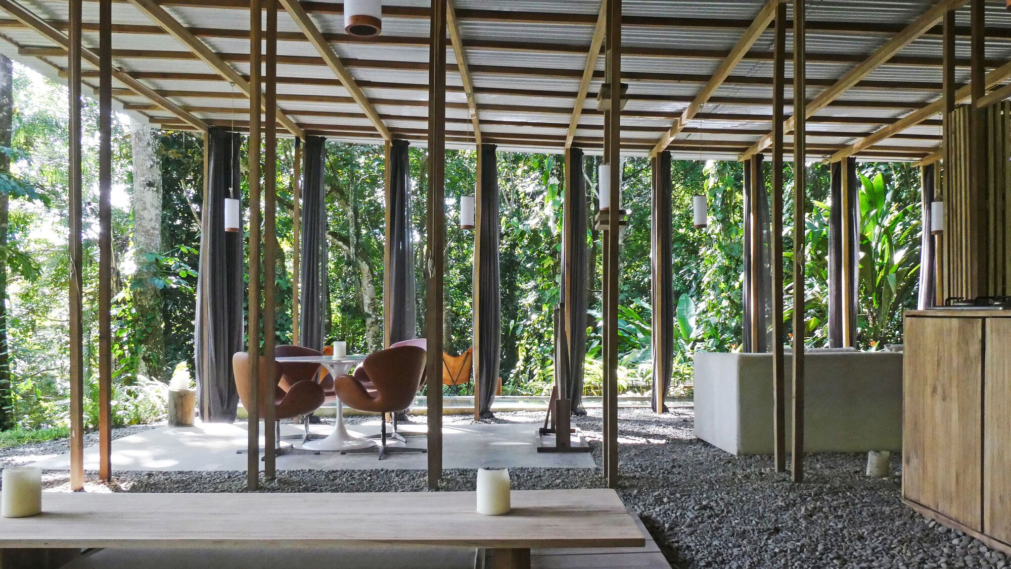 丛林开放日丨哥斯达黎加丨Ksymena Borczynska-15