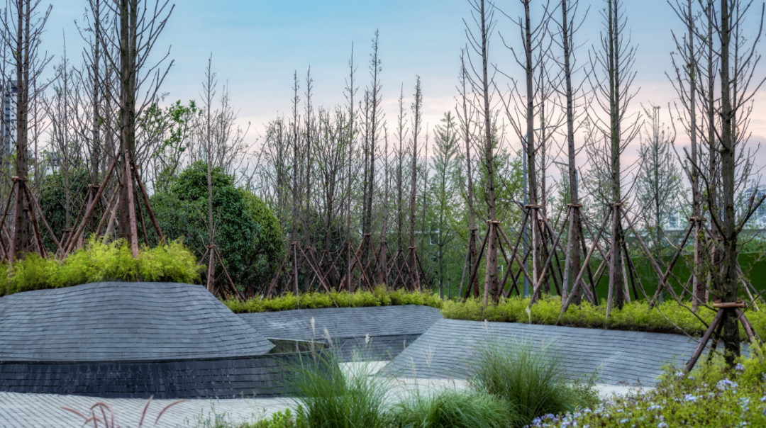 眉山桃园湖公园-8