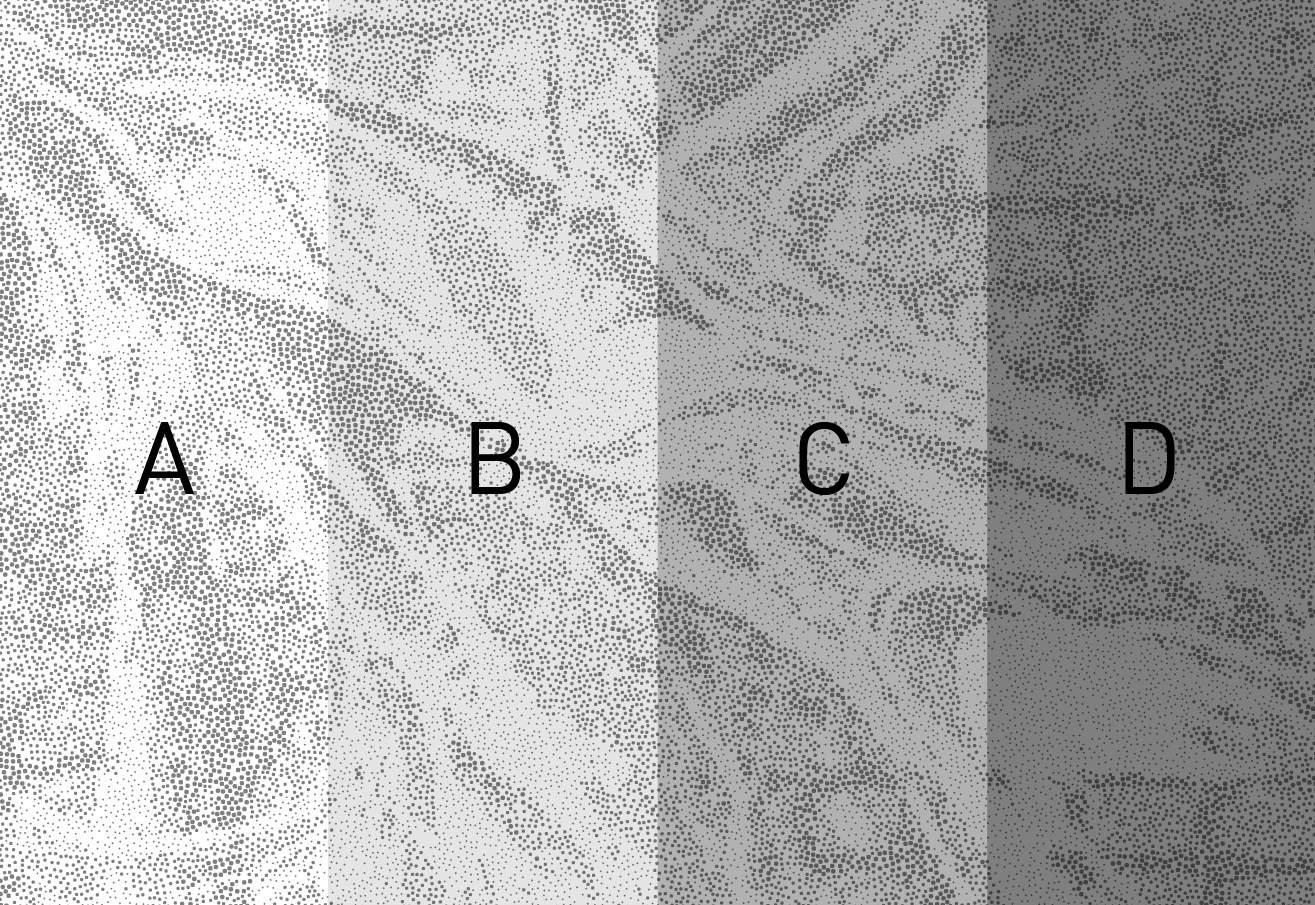 {{ project.post_title }}-7