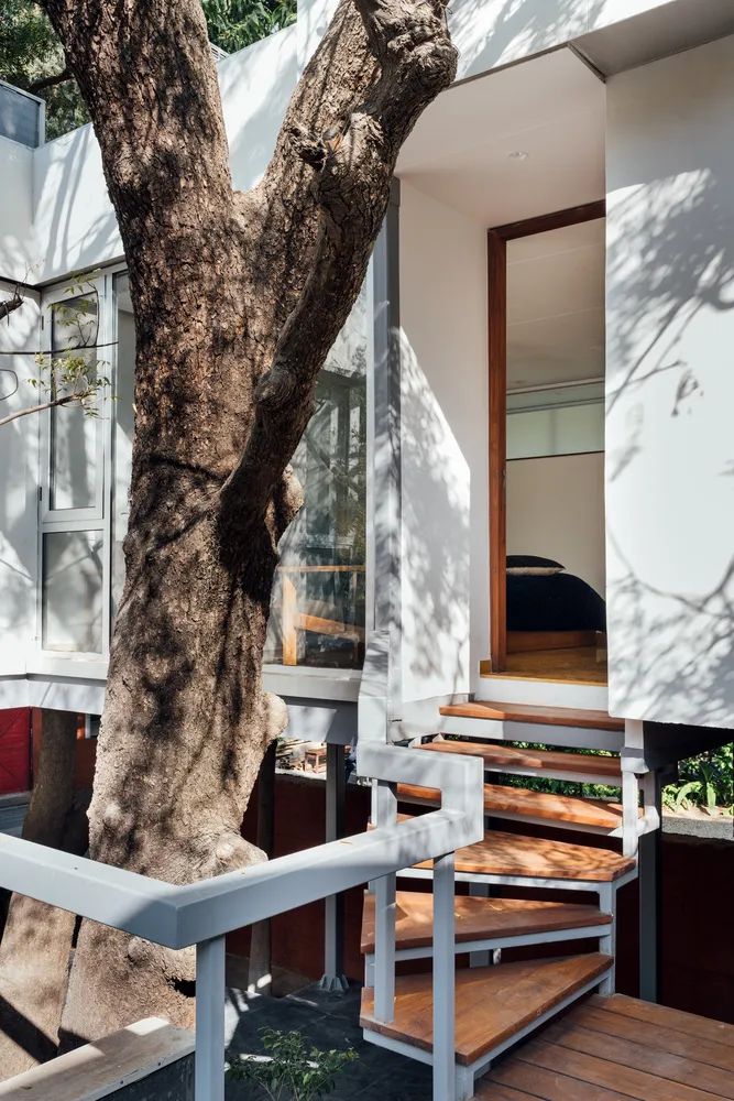 奇丹巴鲁姆的房子丨勾勾手设计网-11