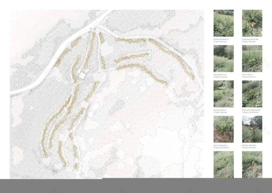 清迈田园住宅丨泰国清迈丨YANGNAR STUDIO-102