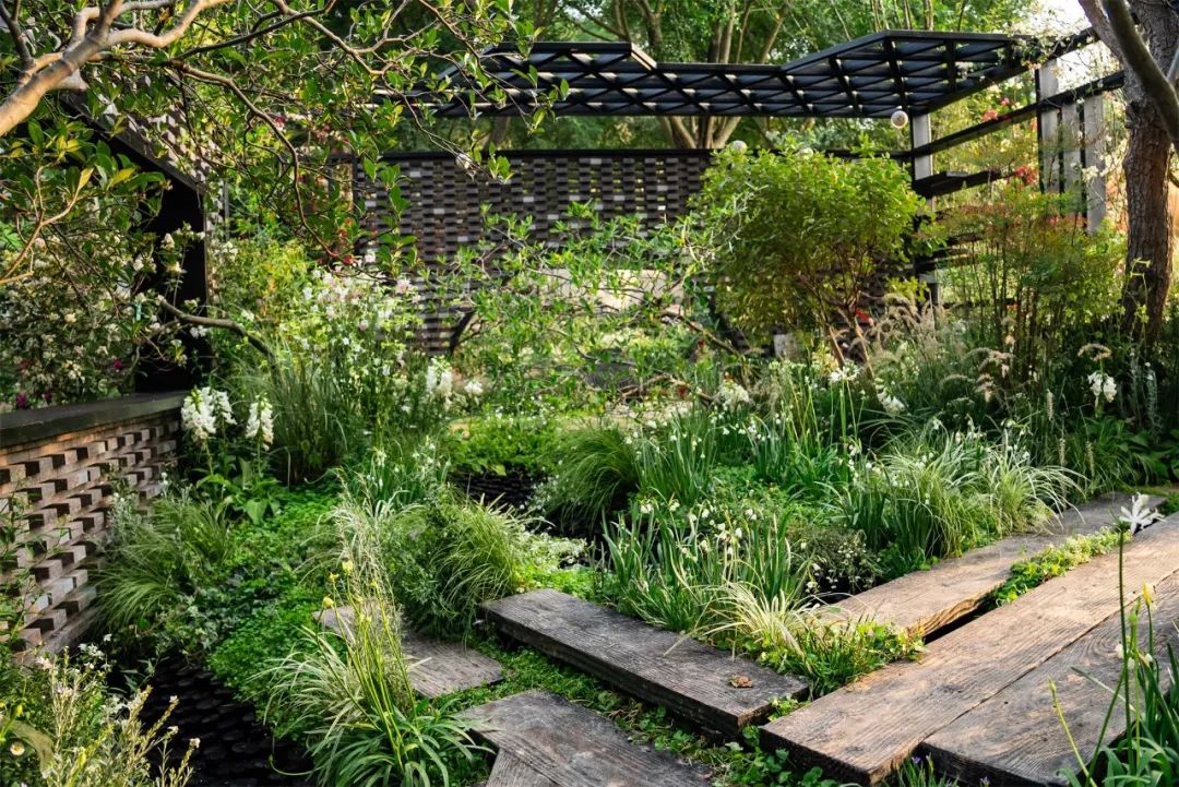 绮云书香|2024粤港澳大湾区花展宝安区城市花园-215