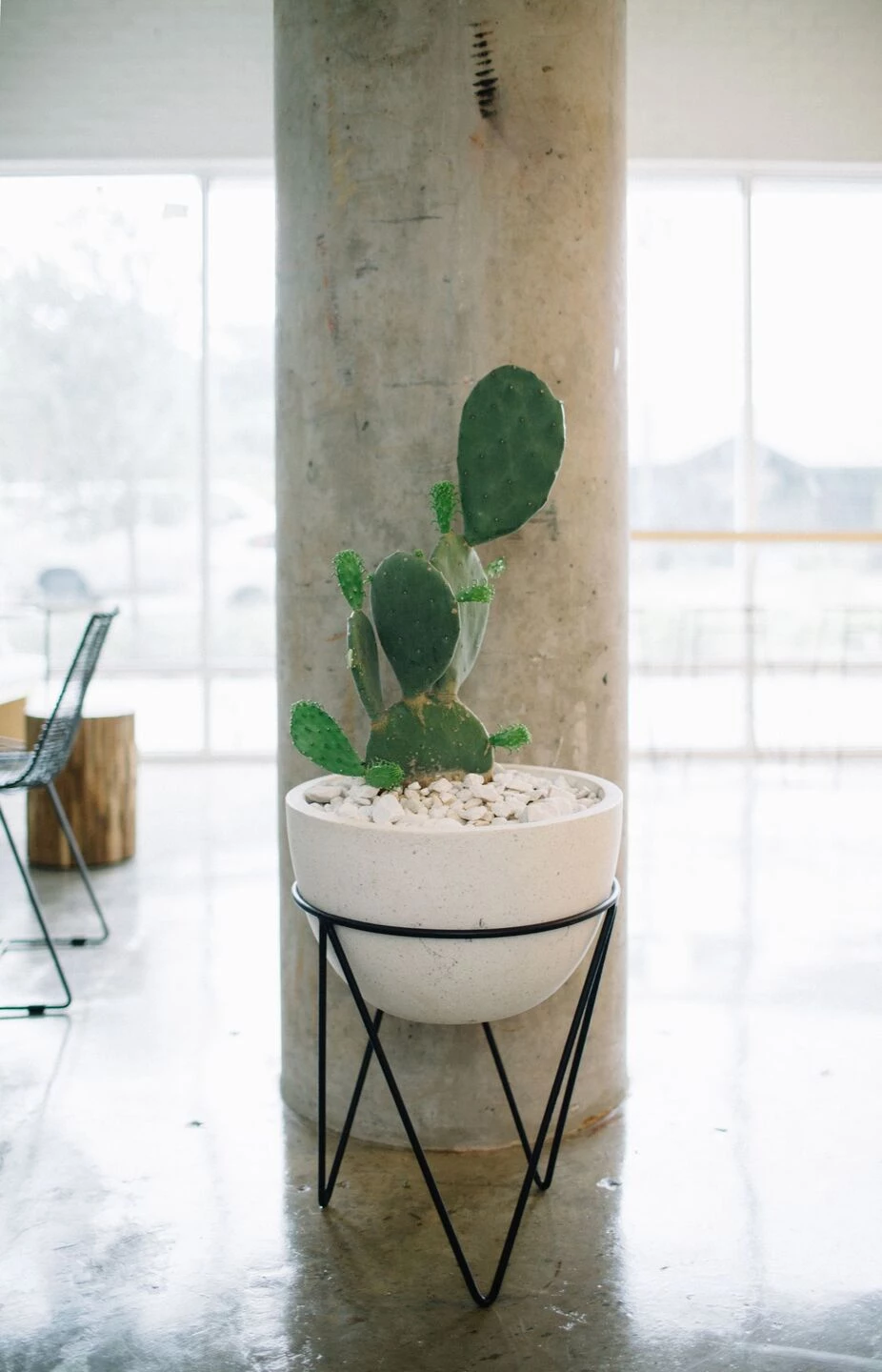 果汁协会丨美国德克萨斯丨Matt Fajkus Architecture-13