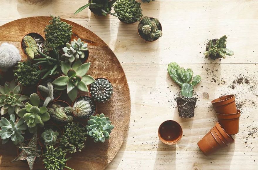 自然主义家居设计 | 释放野性与自然之美-51