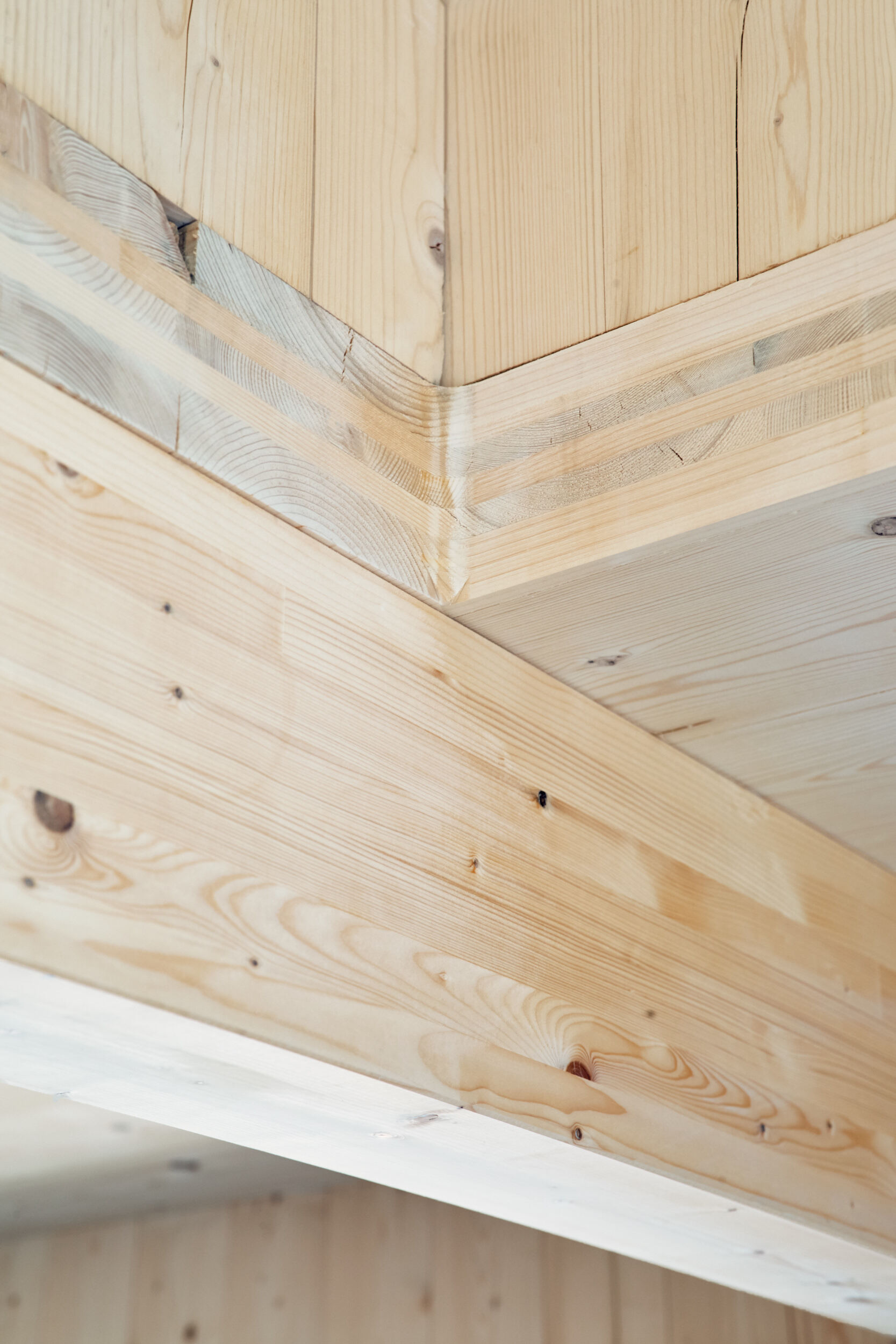 房子 1丨挪威丨SPEED Architects-37