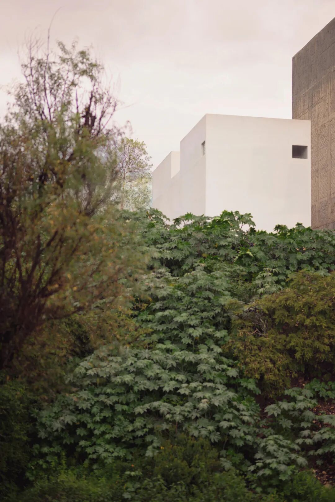 可海楼（注：Kehai可能是特定名称，若有更准确背景信息，翻译会更精准） 丨墨西哥莫雷利亚丨HW Studio-14