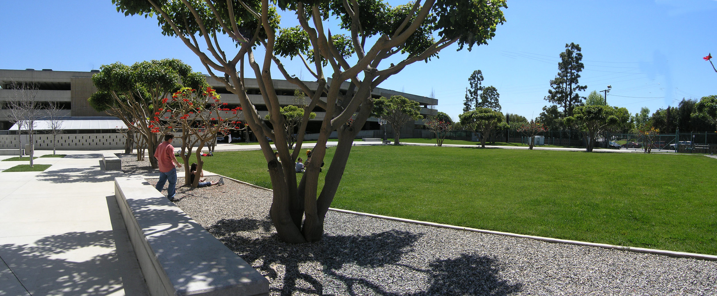 丨美国洛杉矶-12