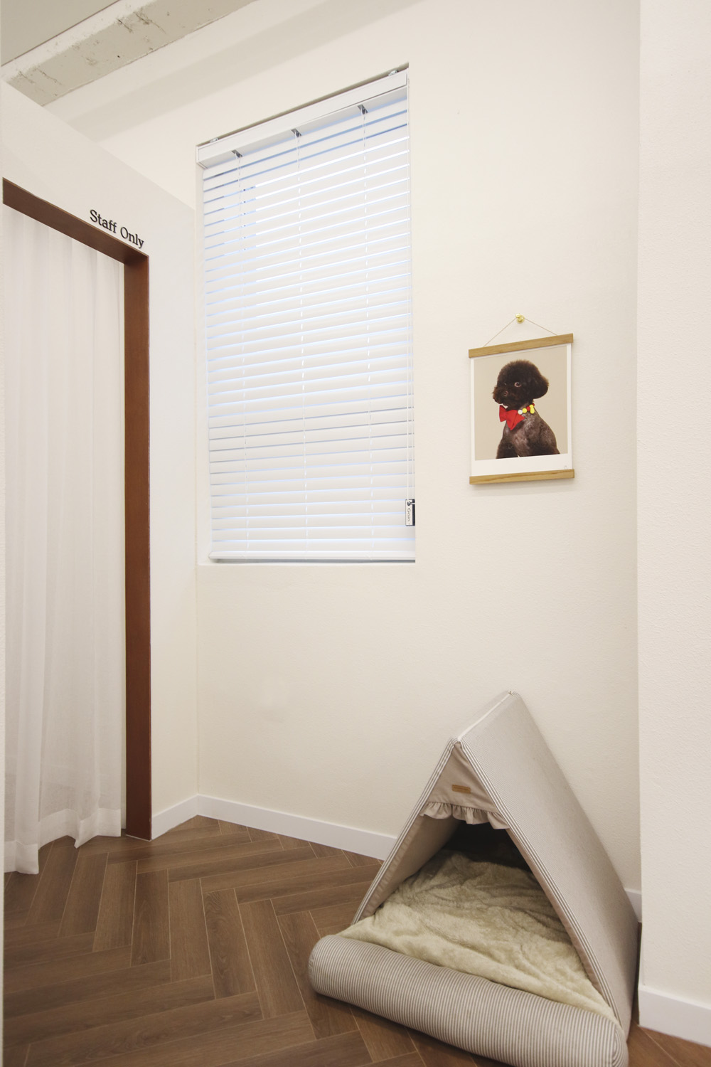 温馨韩式美容院，展现白色与木质的魅力-24