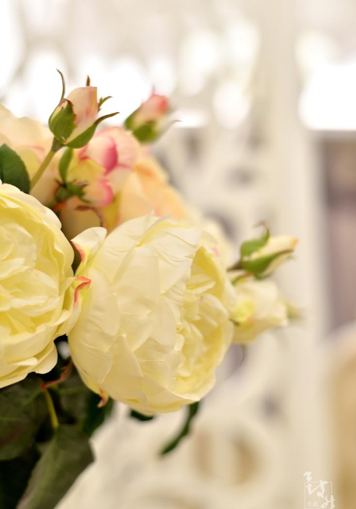 简欧雅奢,打造时尚温馨家居空间-5