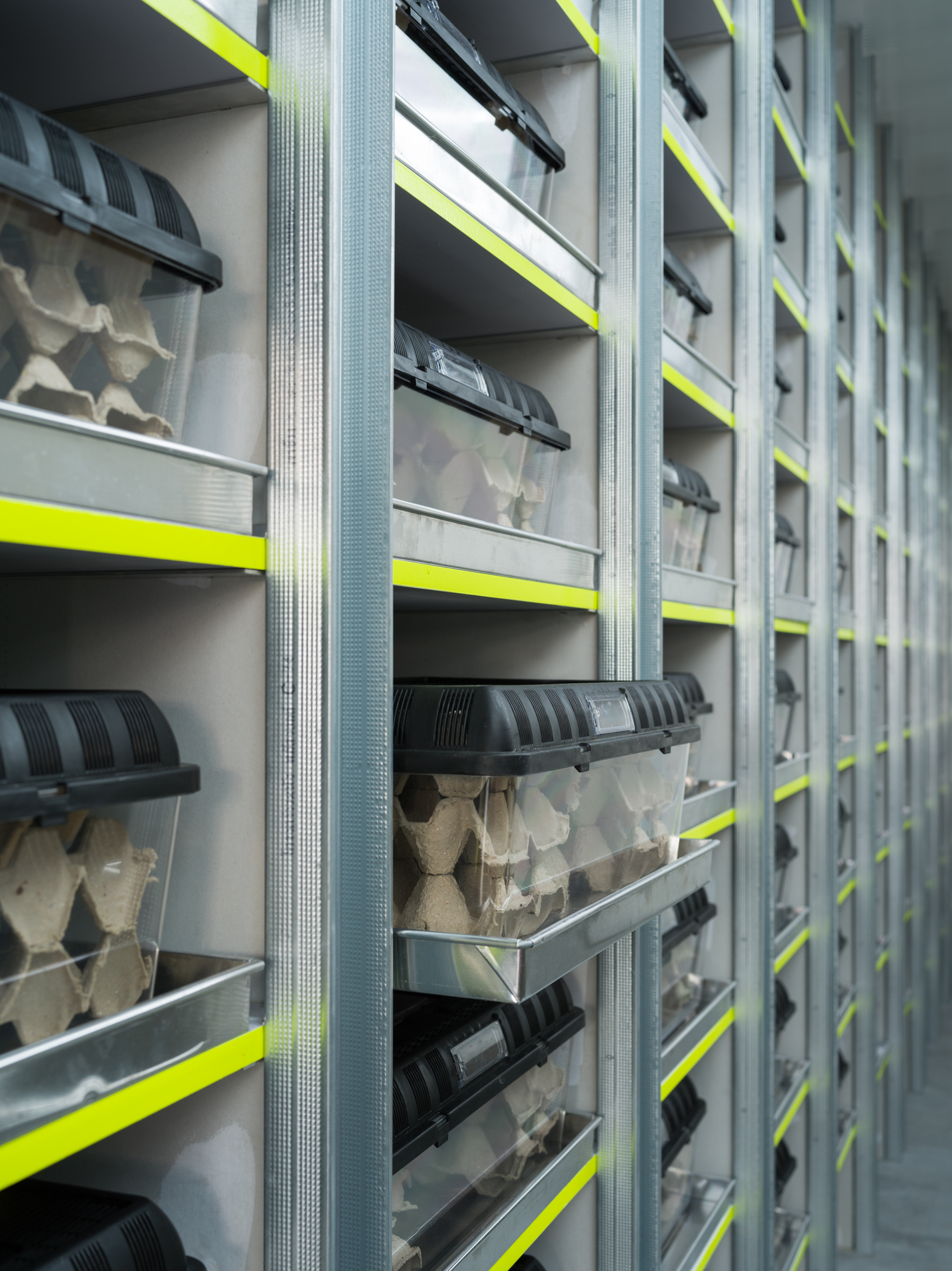 Exofood Retail and Lab / space+craft-33