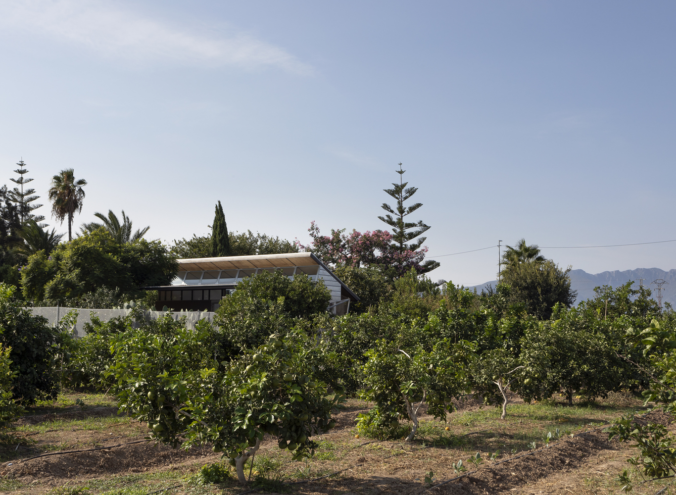 橙园中的食验室丨Carlos Salazar 工作室-46