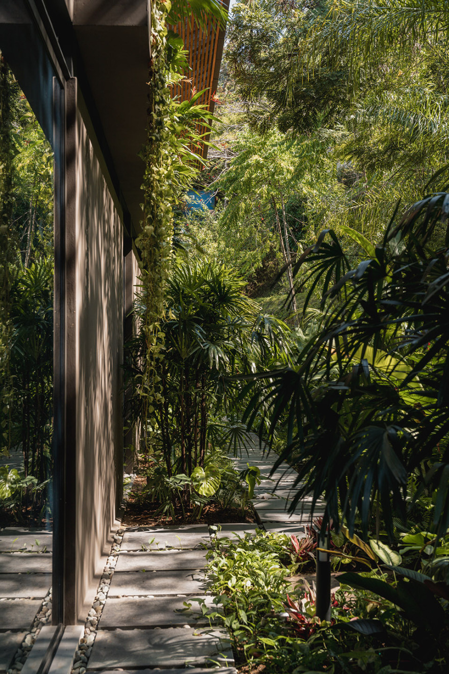 Cascada de Luz 别墅丨哥斯达黎加丨Studio Saxe-140