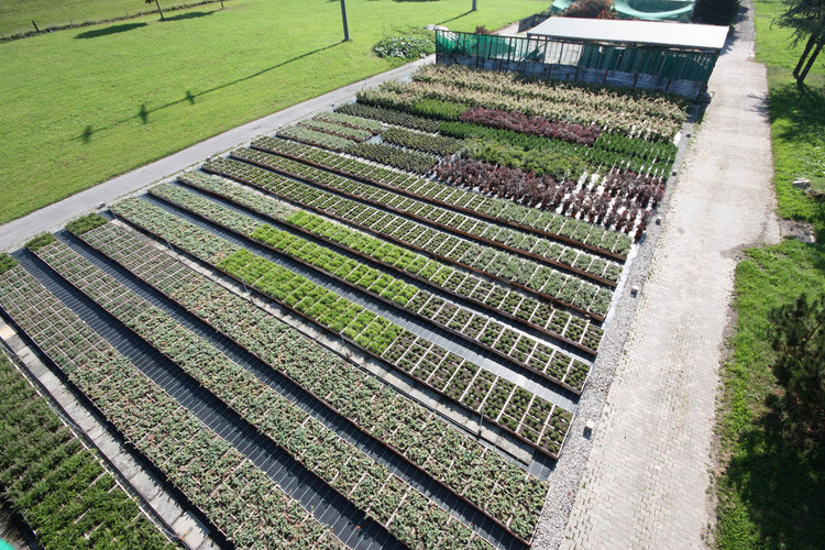 苏黎世艺术大学屋顶花园-12