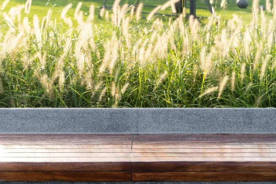 深圳湾蛇口休闲带景观-65