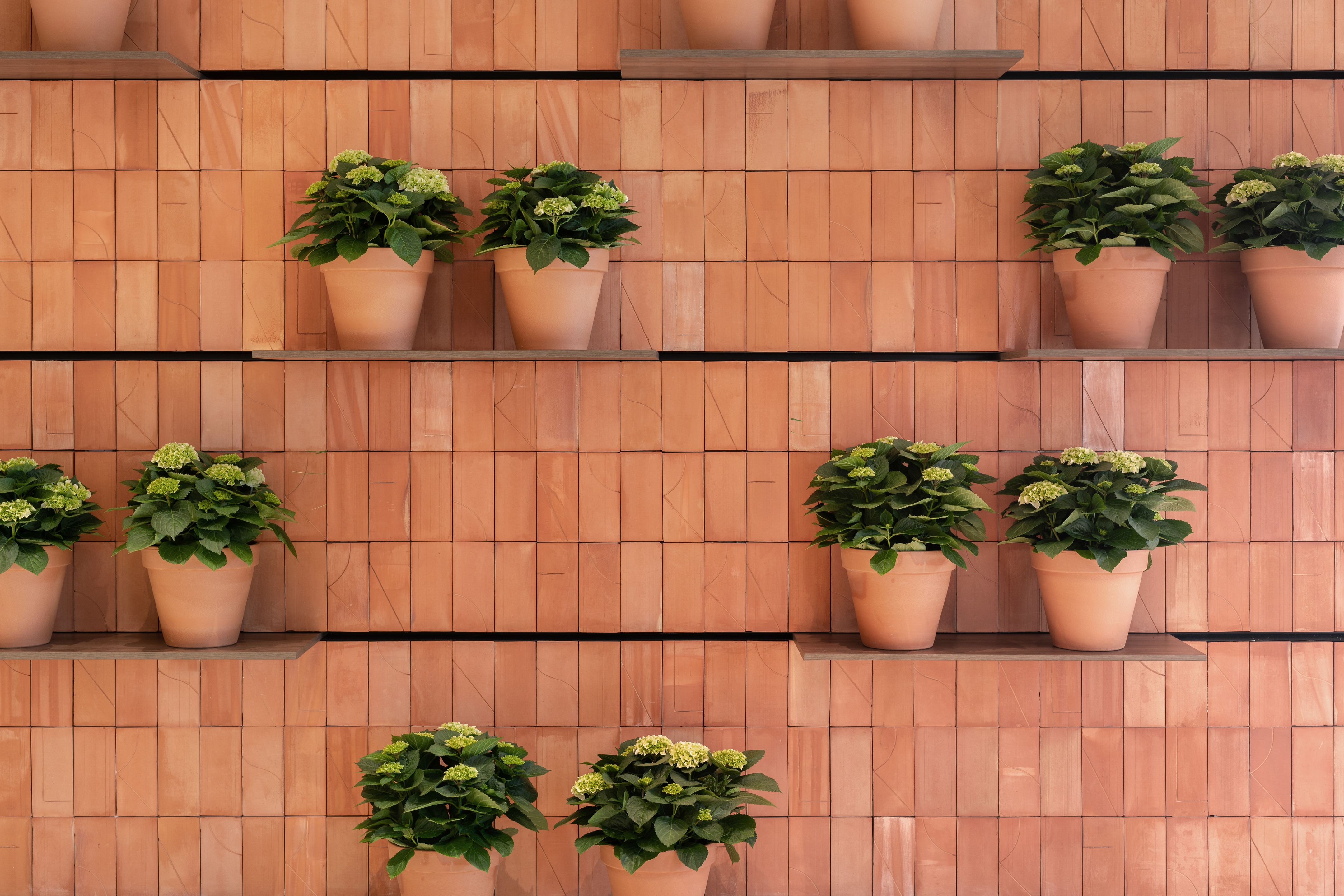 (ROSANFLOR花店)estudiHac设计-28