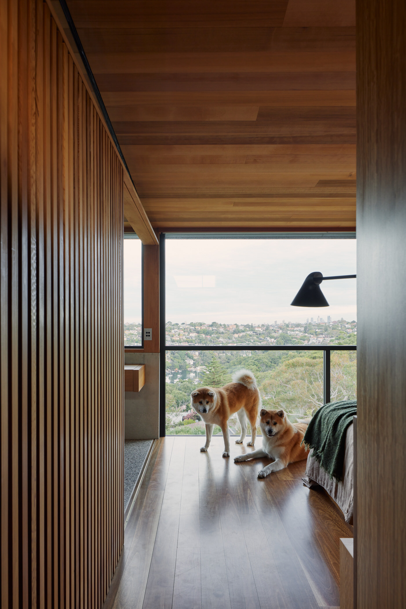Castlecrag Courtyard 住宅丨澳大利亚悉尼丨Downie North Architects-43