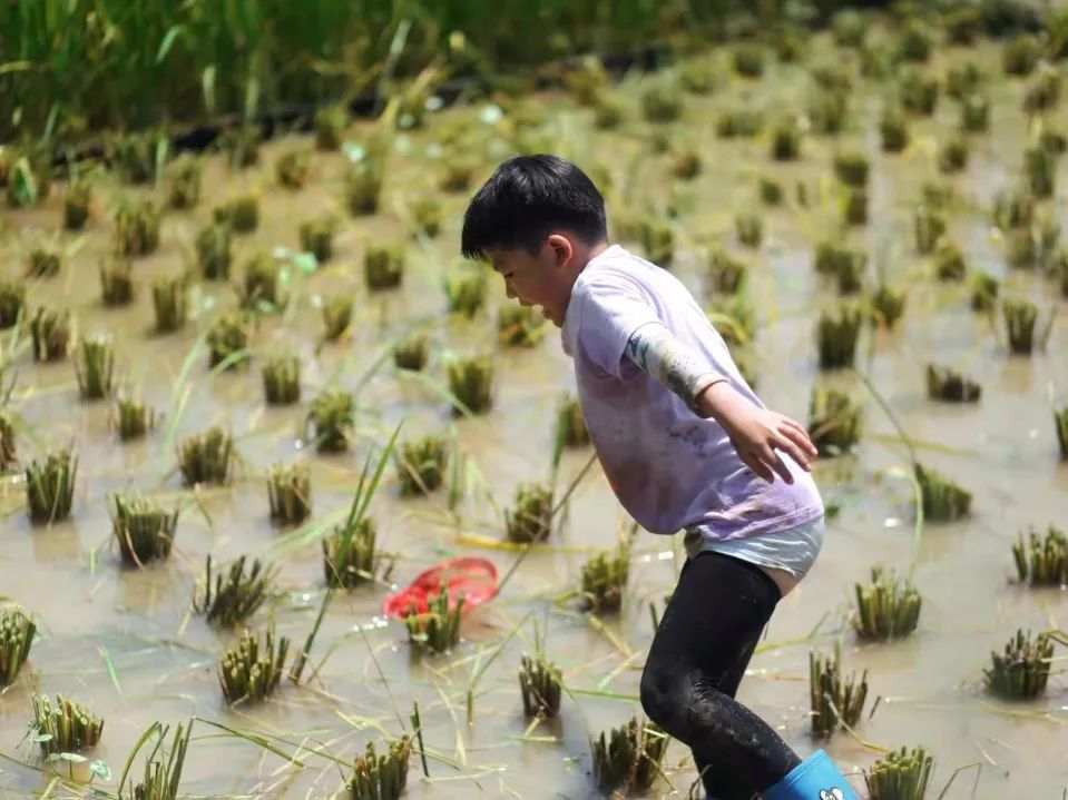 野奢秘境，探寻春日浪漫-199