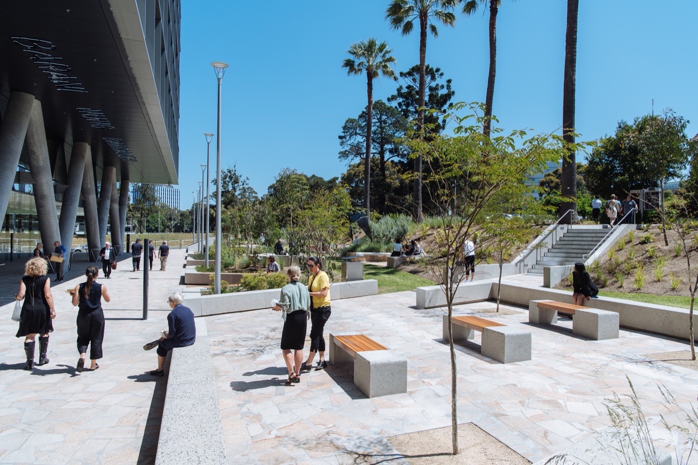 悉尼 St Leonards 健康组织迁址丨澳大利亚悉尼丨Arcadia Landscape Architecture-16